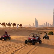 UAE Tourism Booking